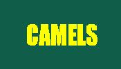 CAMELS project logo
